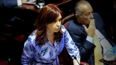 Cristina Kirchner en el Senado (NA)