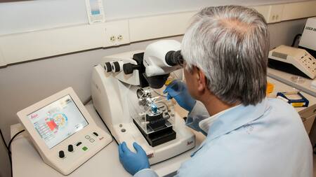 Cáncer de hígado: el prometedor avance de la combinación de fármacos que cambia el tratamiento. Foto: Unsplash.