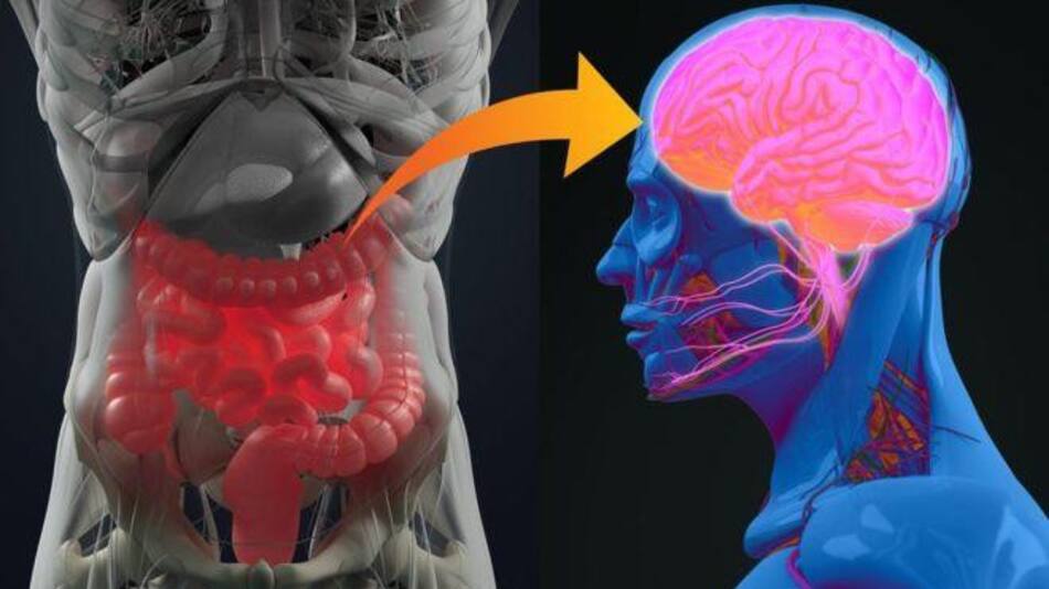 Afecciones intestinales pueden advertir de la patología años antes de sus primeros síntomas.