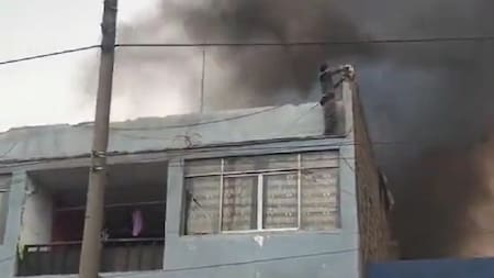 Un joven rescató a más de 20 perros en Perú. Foto: Captura de pantalla.