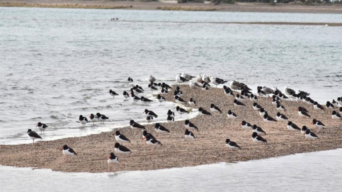 San Antonio Oeste revela su lado más calmo en los meses fríos, con paisajes abiertos y una conexión directa con el mar.