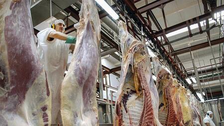 Carne, frigorífico, carne argentina, NA