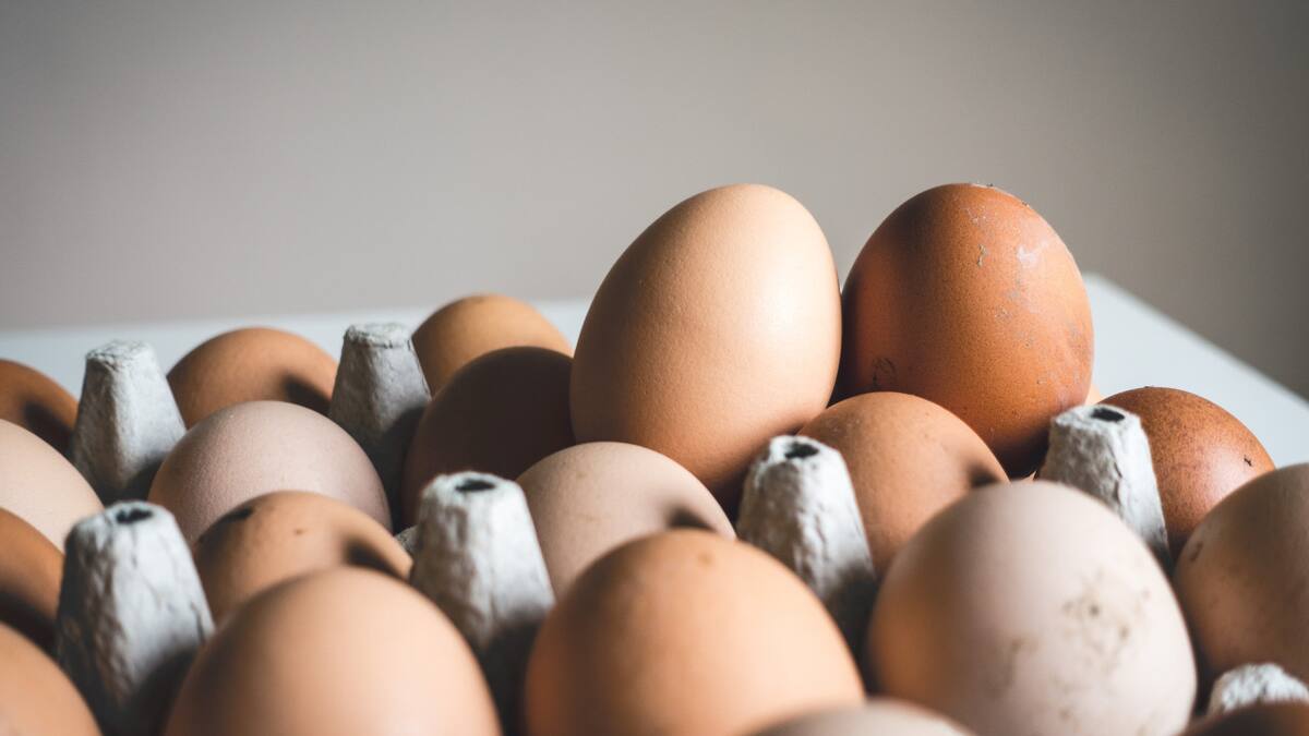 Huevos. Foto: Unsplash.