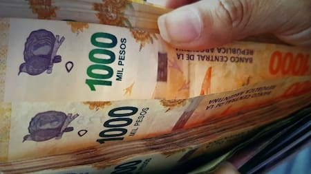 Aguinaldo, dinero, billete, plata, sueldo. Foto NA