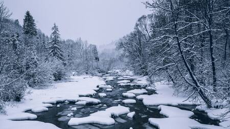 Polonia. Foto: Unsplash.