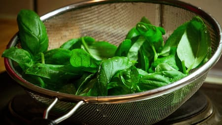 Albahaca. Foto: Unsplash.