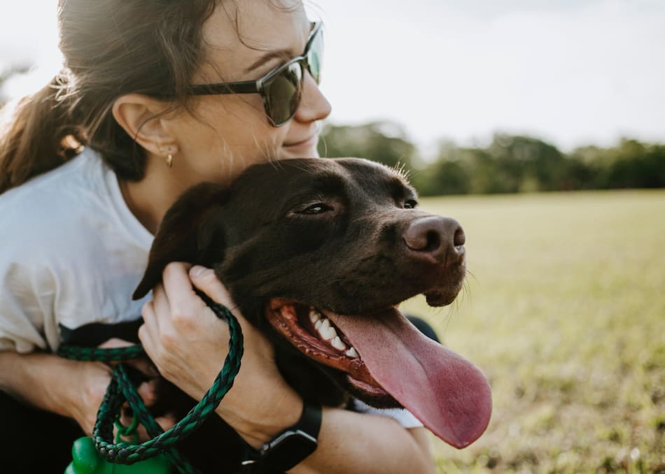 Perros, canes, mascotas. Foto: Unsplash