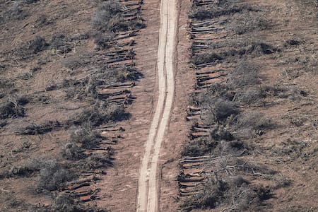 Deforestación y desmonte en Chaco. Foto: Greenpeace.