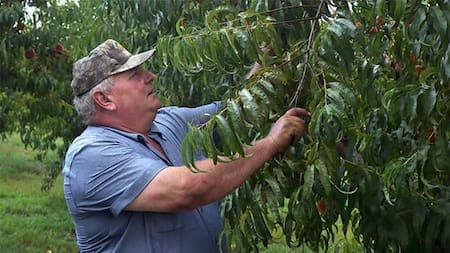 Agricultor en Estados Unidos, pesticidas