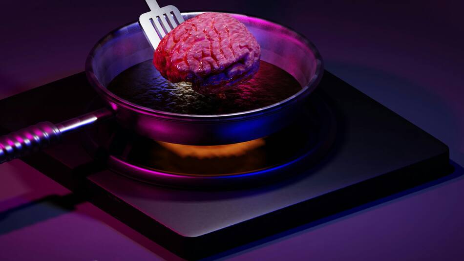 Cerebro. Foto: Unsplash