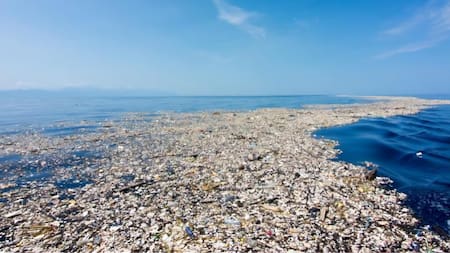 La isla de plástico del Pacífico: una amenaza ambiental del tamaño de un continente