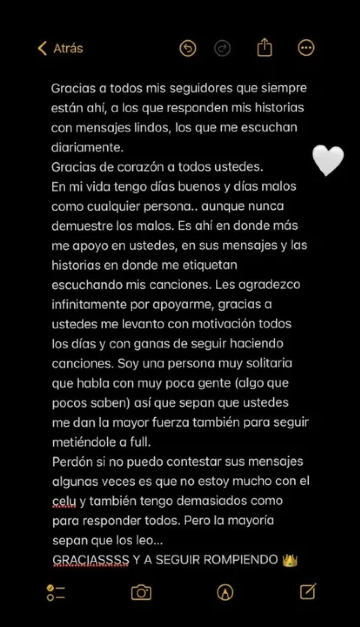 Posteo de Lauty Gram en Instagram