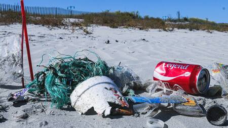 Ley de Restauración de la Naturaleza. Foto: Unsplash