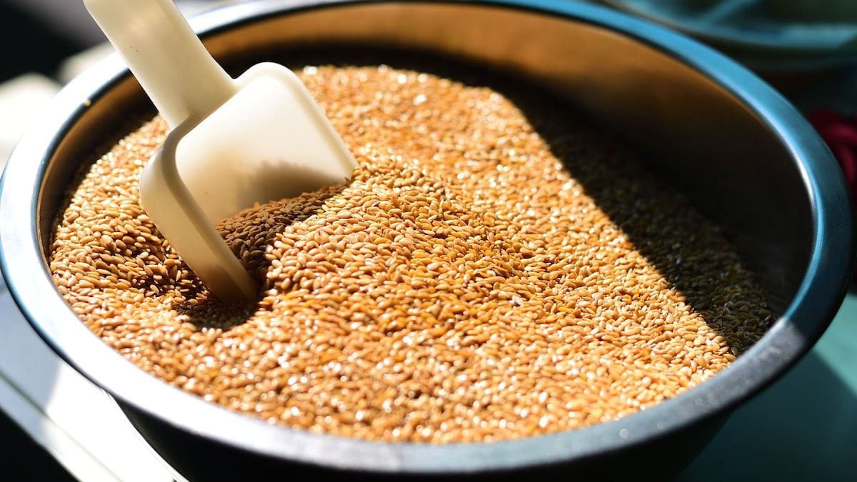 Todos los beneficios de las semillas de lino dorado. Foto Pixabay.