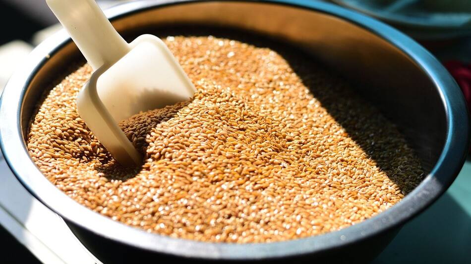 Todos los beneficios de las semillas de lino dorado. Foto Pixabay.
