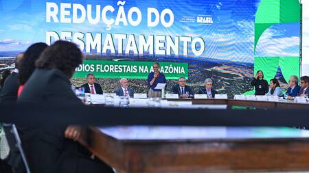 Proyecto para combatir la tala ilegal en la Amazonía. Foto: EFE