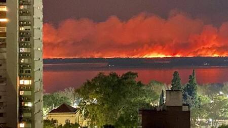 Incendios en el Delta del Paraná