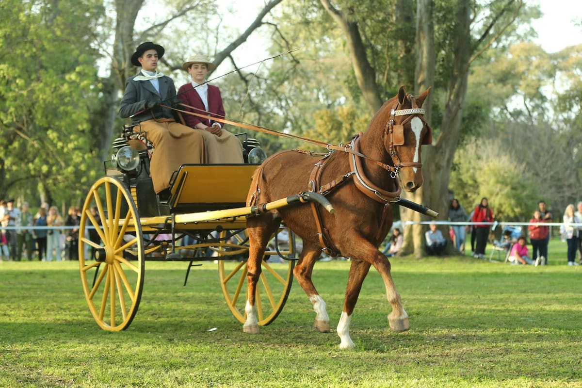 Encuentro del Carruaje y el Caballo