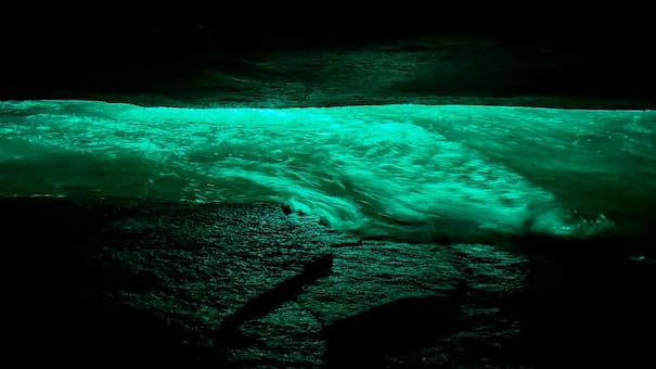 Un fenómeno natural único cautiva en Brasil: el rincón secreto donde el agua brilla en la oscuridad