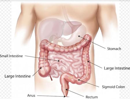 Cáncer colorrectal, salud, Reuters