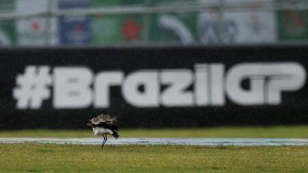 Lluvias en Intergalos, Gran Premio de Brasil. Foto: Reuters