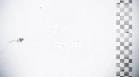 Carrera de espermatozoides. Foto: captura.