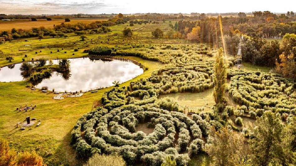 Laberinto de bambú, en San Antonio de Areco.
