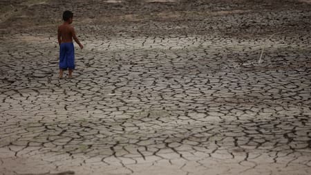 Histórica sequía en el Amazonas. Foto: Reuters