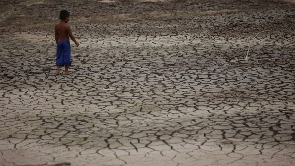 Histórica sequía en el Amazonas. Foto: Reuters