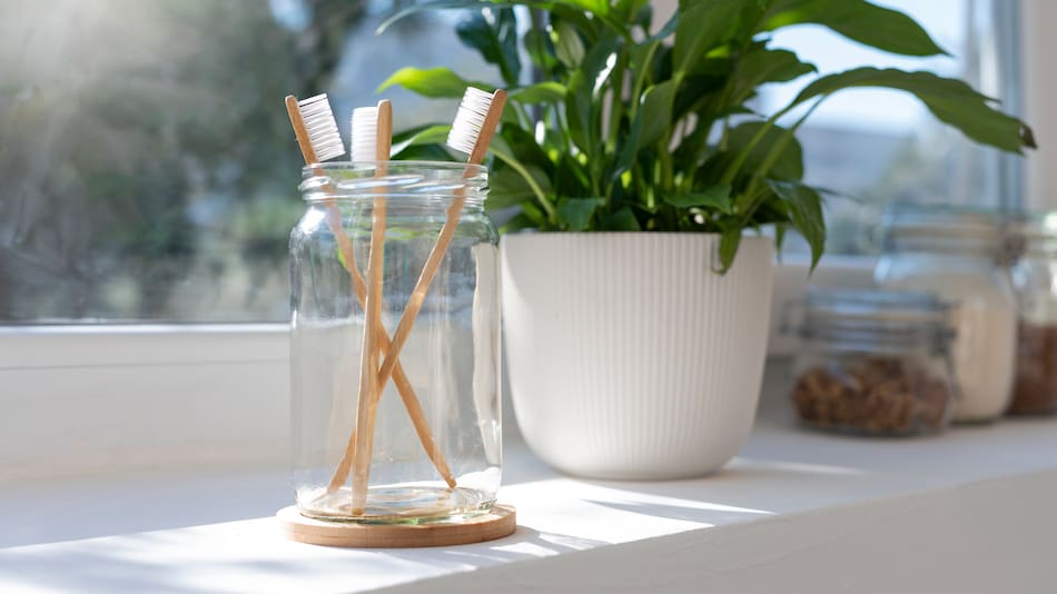 La planta que ayuda a evitar la humedad en el baño.