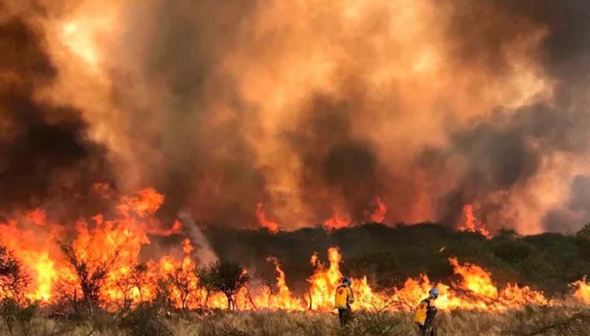 Fuego sin control en Córdoba. Foto, Twitter.