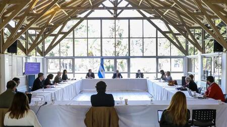 Alberto Fernández en la Quinta de Olivos, reunión con el comité de expertos, Agencia NA