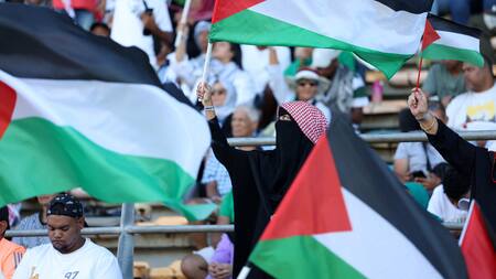 Banderas de Palestina. Foto: Reuters