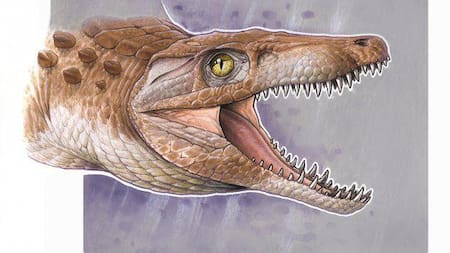 Restos óseos de cocodrilo de más de 148 millones de años en la Cordillera