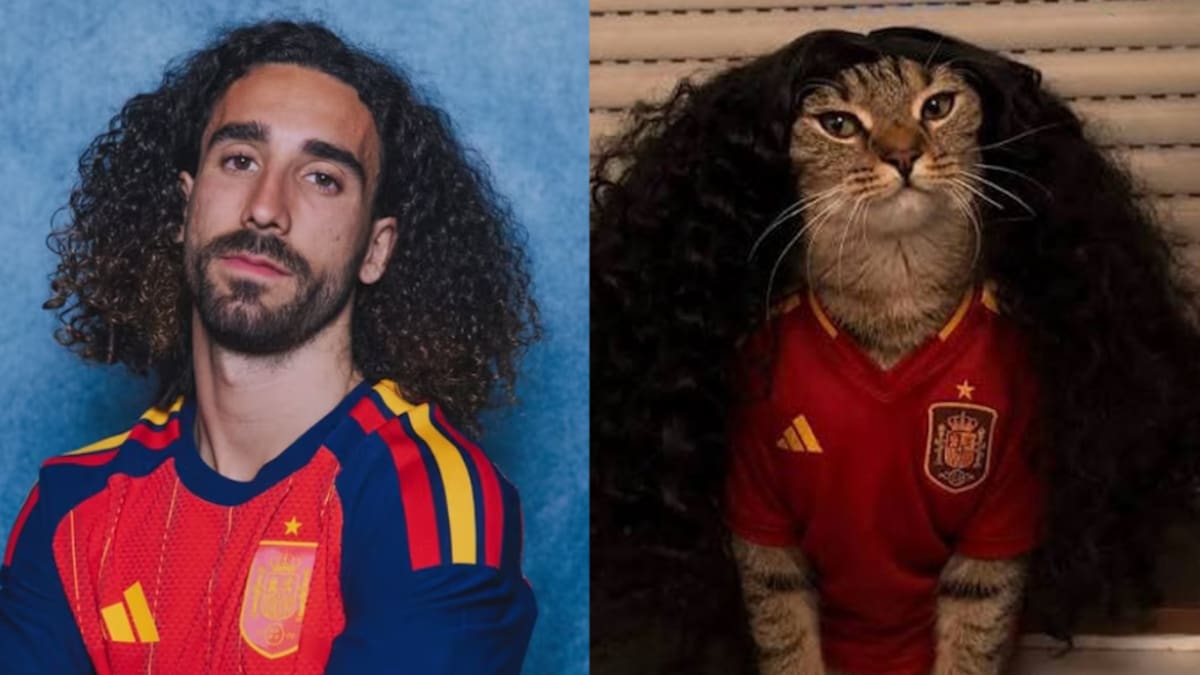 Google mantiene activo el easter egg dedicado a Marc Cucurella, inspirado en el popular meme del gato con rulos que se hizo viral durante el Mundial 2026.