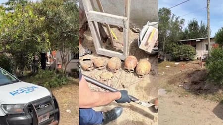 Horror en Pinamar: encontraron más de 10 cráneos humanos en el patio de una casa