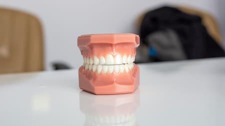 Dientes, salud, boca. Foto: Unsplash