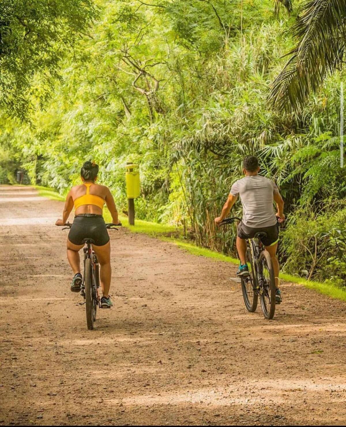 Reserva Ecológica Costanera Sur. Foto Instagram @reservaecologicasur