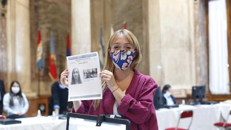 Sesión virtual en Senado, validación de identidad, RENAPER