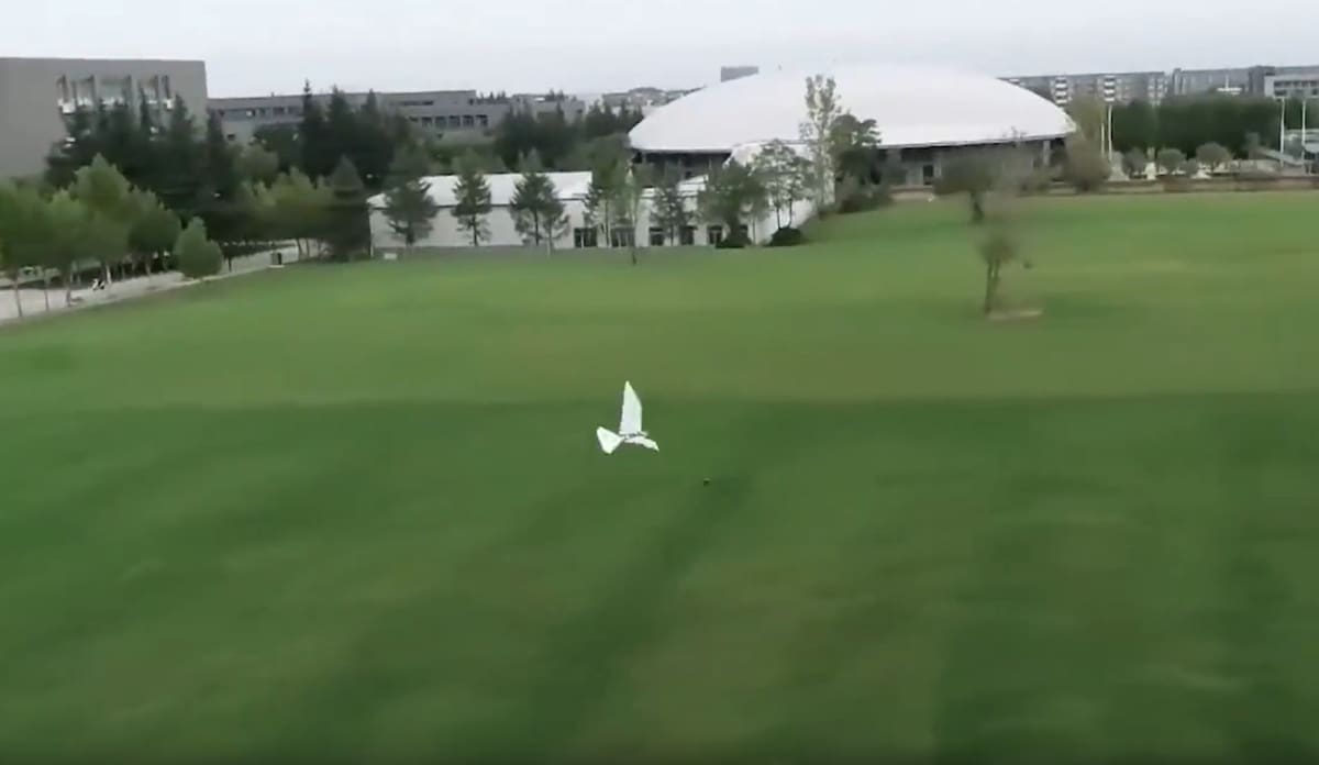 Nuevo avión chino que vuela cómo un ave. Foto: Captura de video