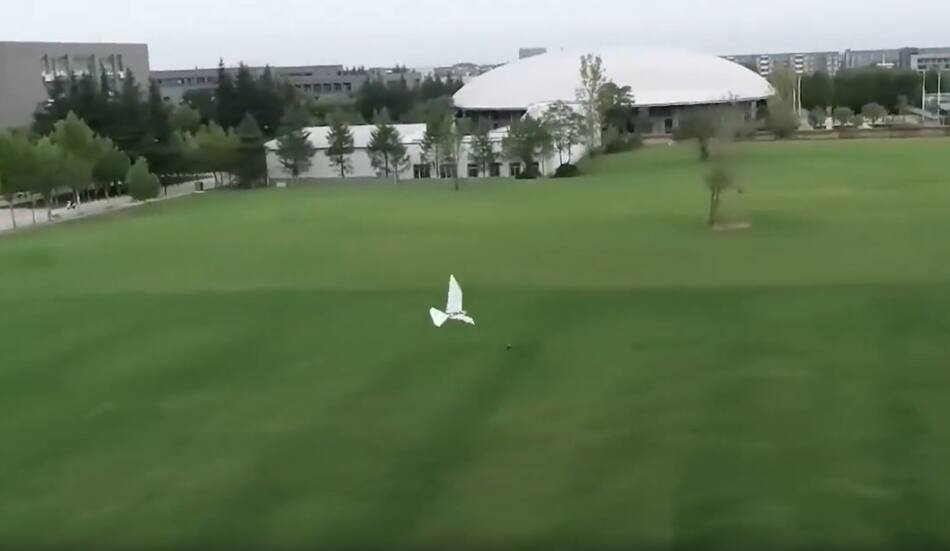 Nuevo avión chino que vuela cómo un ave. Foto: Captura de video