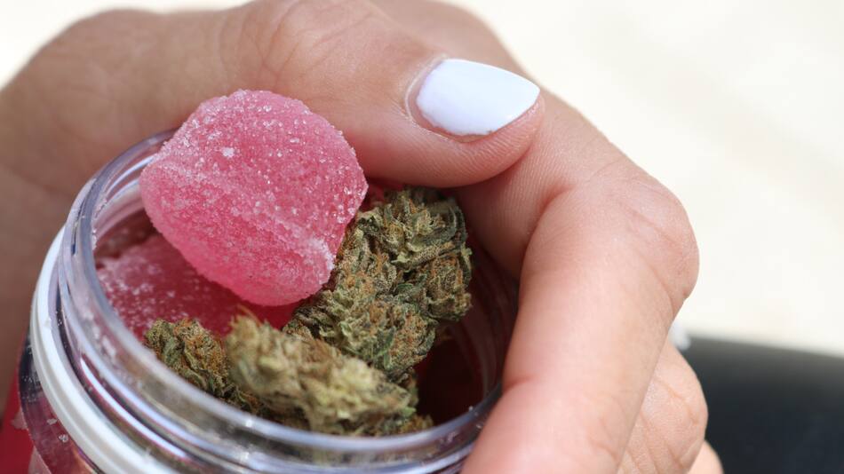 Marihuana. Foto: Unsplash