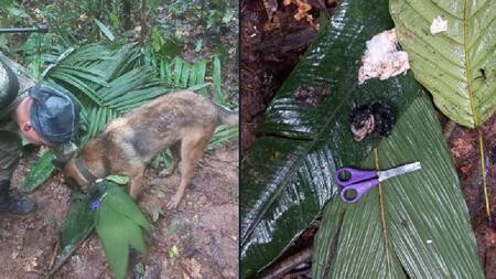 Las pistas que indicarían que los niños colombianos perdidos estarían con vida. Foto: Twitter @FuerzasMilCol.