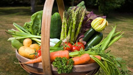 La verdura que es clave para la memoria. Foto Alamy.