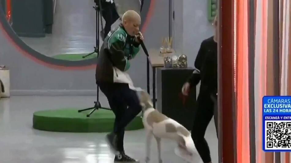 El momento en que Furia le pega una patada a Arturo. Foto: captura de video
