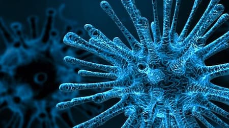Coronavirus en el mundo, pandemia