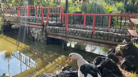 Mizujo Campo Libre, en Colonia Urquiza.