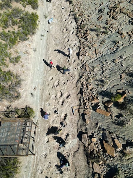 Parque Municipal Cretácico Huellas de Dinosaurios. Foto: Municipalidad de Malargüe.