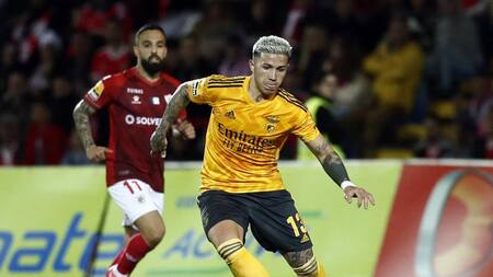 Enzo Fernández en el Benfica. Foto: REUTERS.