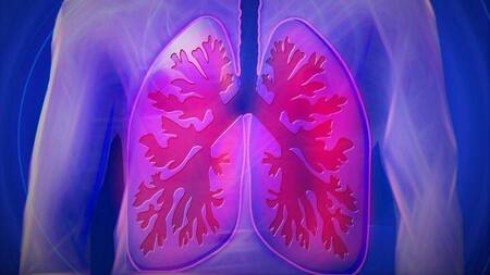 Pulmones, salud